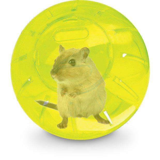 Globo Hamster Acrilico Grande 18Cm