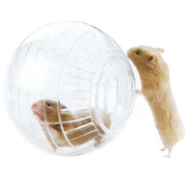 Globo Para Hamster Pequeno (70240)