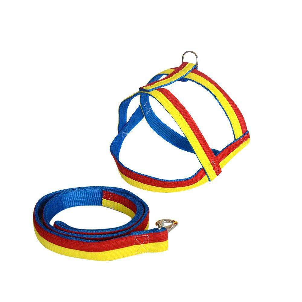 Guia e Peitoral Reforçada Color N.5 - p/ Cães 