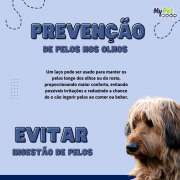 Lacinho tipo Borboleta para Cachorro c/ 20 un. (modelo 27)