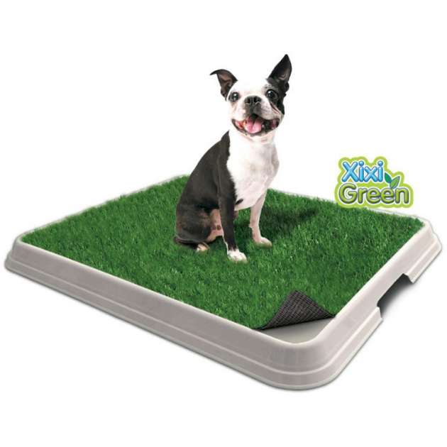 Sanitário Higiênico Cães Pet Injet Xixi Green Premium